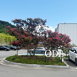 구미 문성 힐링 뷰 대형카페 -[오드 커피]