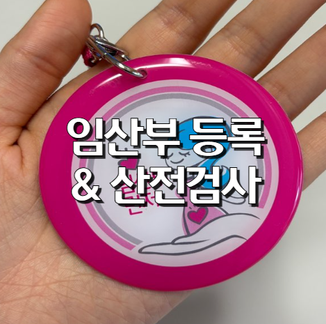 [임신일기 #5] 고양시 덕양구 보건소 임산부 등록 &  무료 산전검사 후기