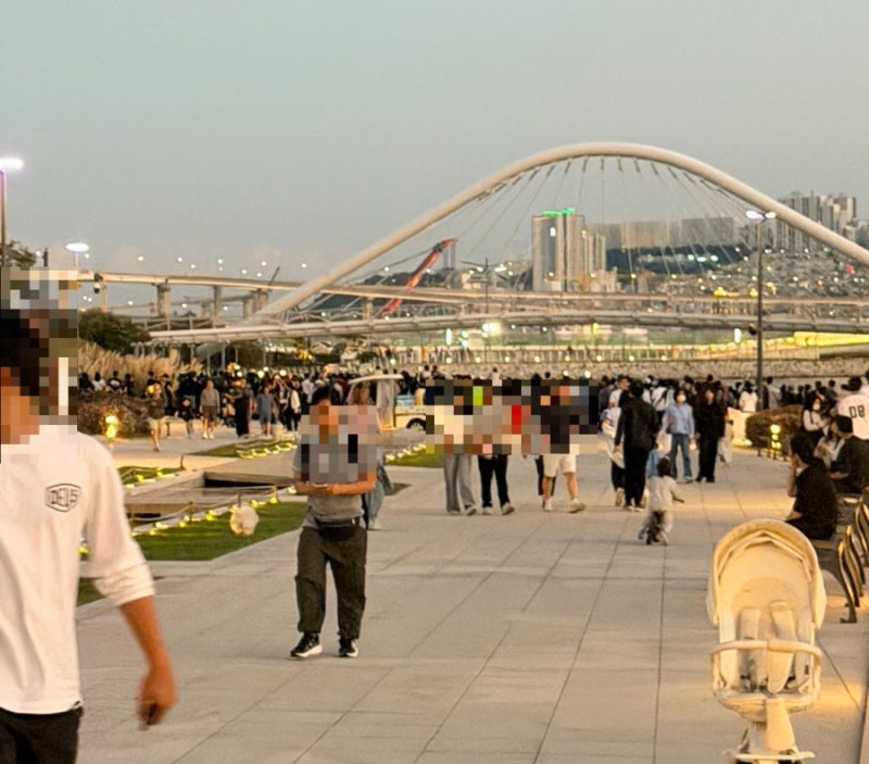 부산 북항 친수공원 상어 출몰｜오늘 직접 보러 다녀온 실시간 현장