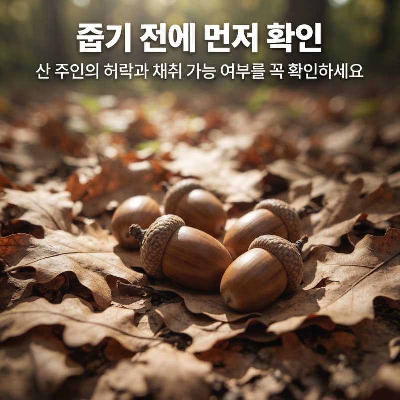 도토리 말려서 까는법부터 도토리묵 만들기까지: 처음부터 끝까지 정리