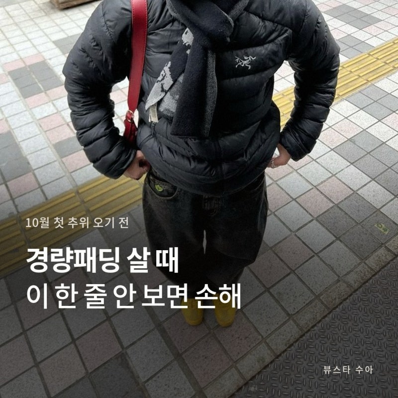 노스페이스 경량패딩 사기 전, 살로몬 아크테릭스 충전재 까보니