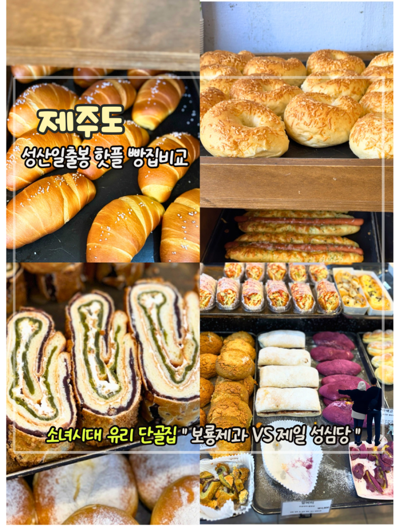 제주 나혼산 소녀시대 유리 단골 빵집 ㅣ 보룡제과 vs 제일 성심당 비교 솔직후기