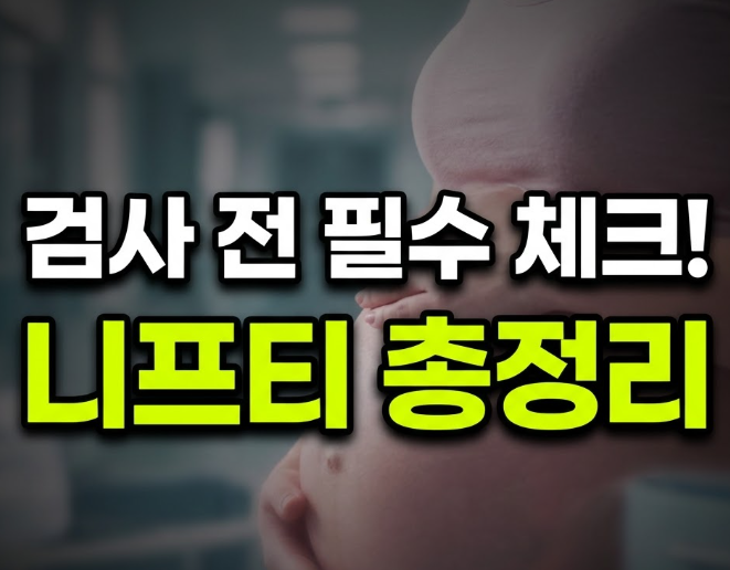 니프티 검사 시기 종류 및 비용(+지원금 얼마?)