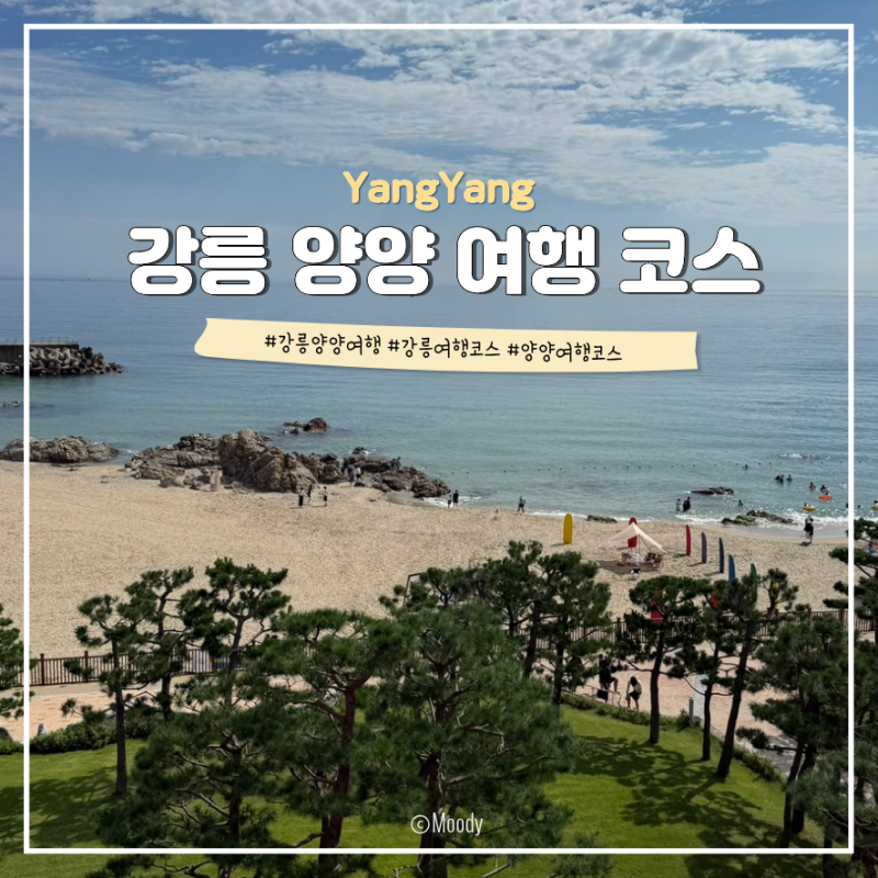 [강릉 양양 2박3일 여행] 쏠비치 리조트, 주문진 수산시장 대게, 오션뷰 카페 코스 총정리