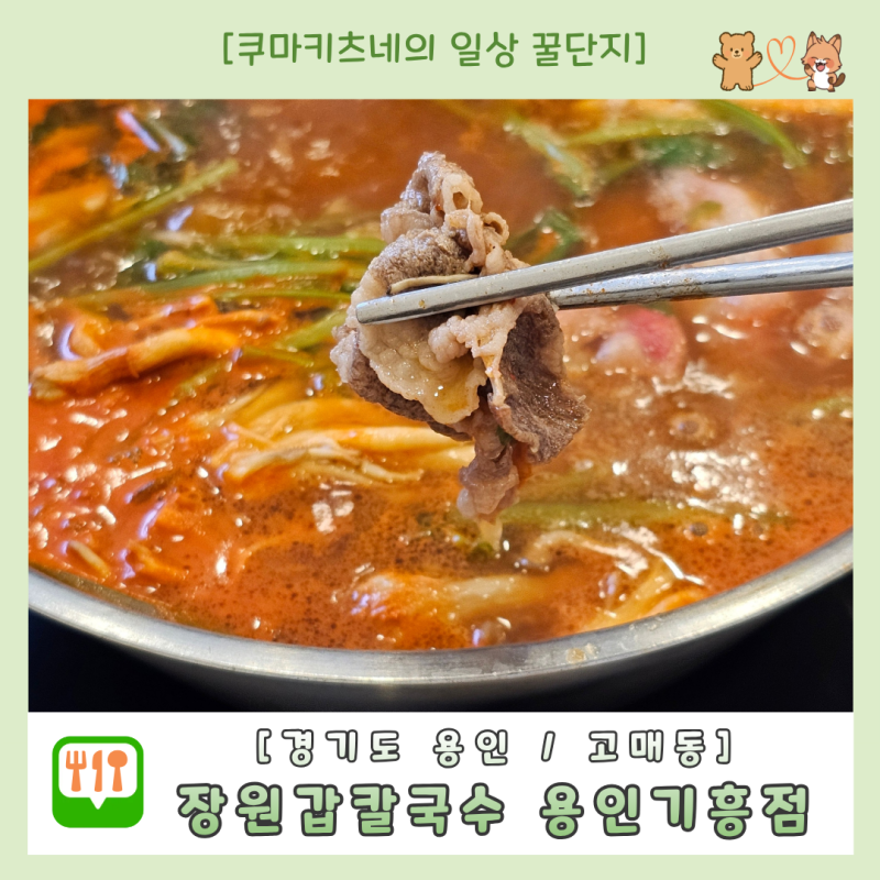 용인 고매동 맛집 장원갑칼국수 롯데프리미엄아울렛 기흥점 가기전 꼭 들리기