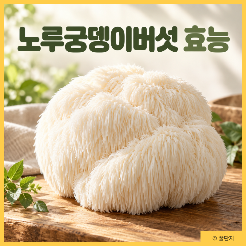 노루궁뎅이버섯 효능, 뇌건강에 좋다는데? 영양성분 먹는법 주의사항