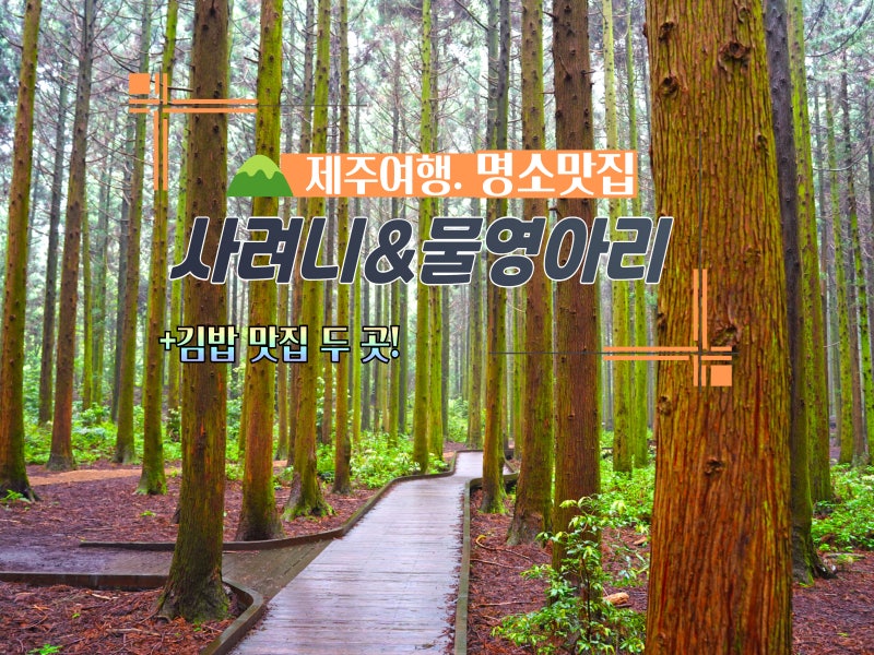 제주도 사려니숲길 물영아리오름 김밥 맛집