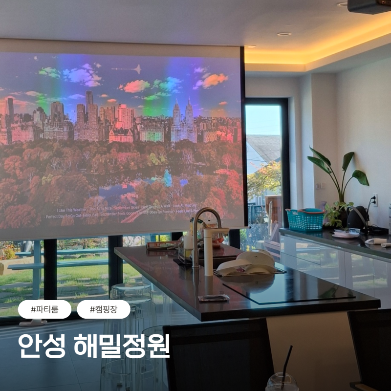 [수원, 화성 애견동반] 안성 해밀정원 독채 내돈내산 후기(캠핑장, 파티룸, 공간대여)