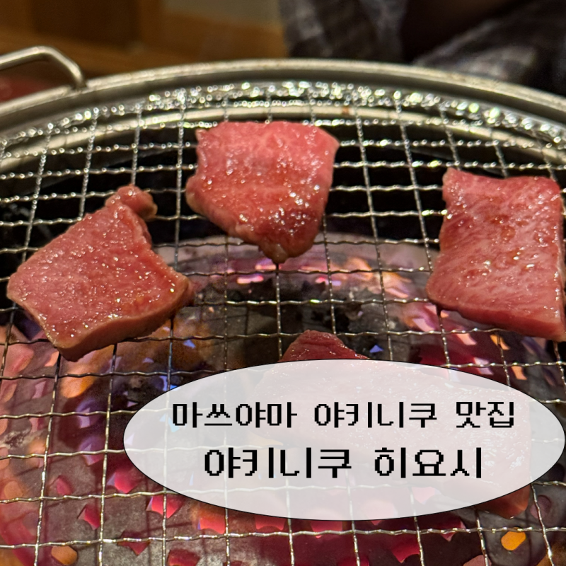 마쓰야마 오카이도 맛집｜현지인 야키니쿠 맛집 야키니쿠 히요시. 한국어 메뉴판도 없는 찐 ....