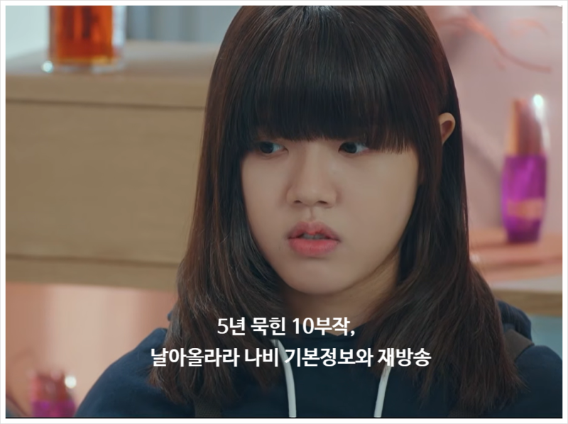 5년 묵힌 10부작, 날아올라라 나비 기본정보와 재방송