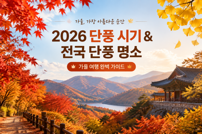 [2026 단풍 시기] 올해 가을 단풍 절정 예측 및 전국 단풍 명소 총정리