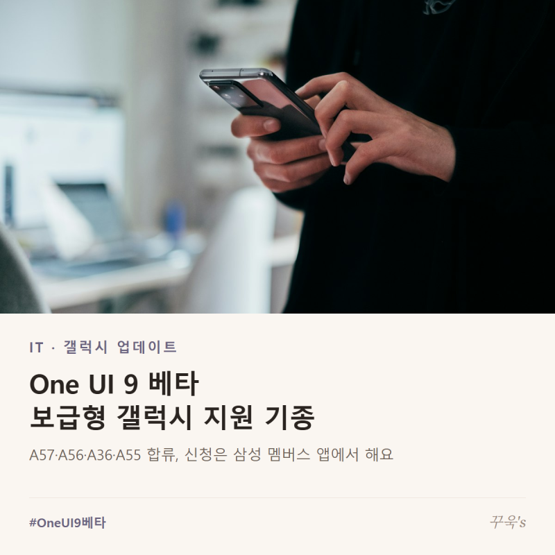 One UI 9 베타 보급형 갤럭시 지원 기종, 업데이트 확인 경로