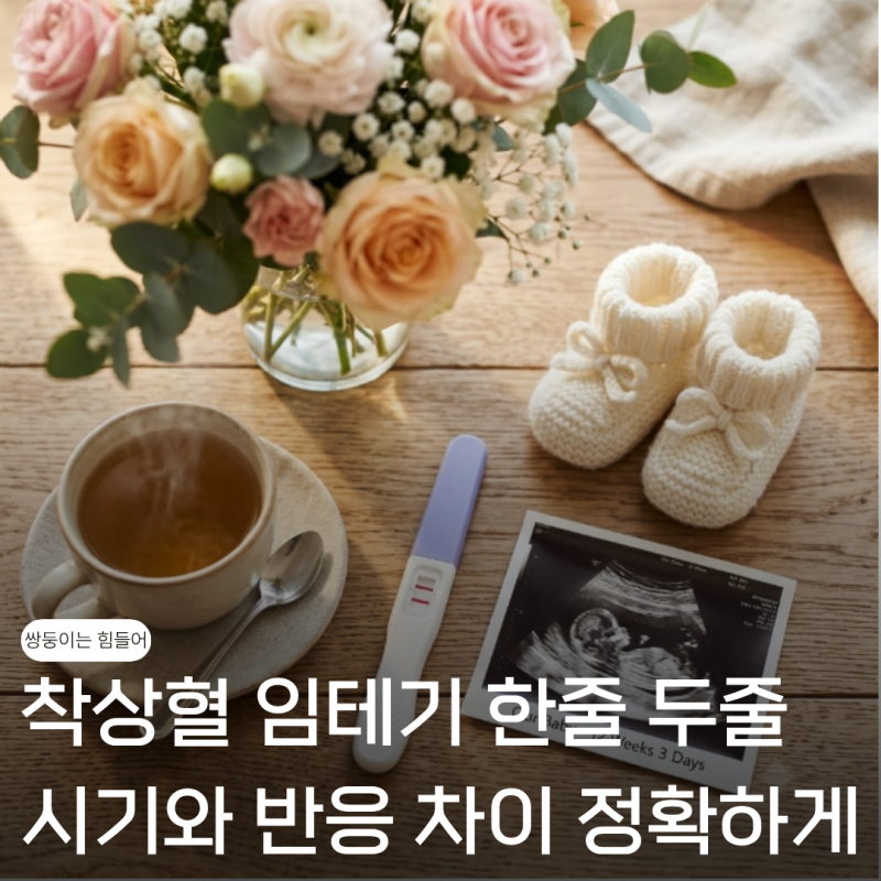 착상혈 임테기 한줄 두줄 시기와 반응 차이, 정확하게 알고 있나요? 필독