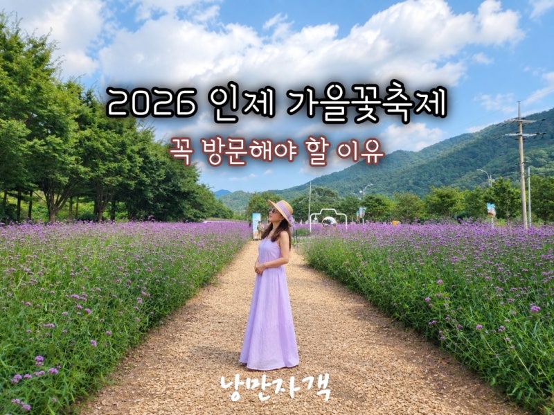 인제 가을꽃축제 2026 일정·가수·가는 길·프로그램·입장료 총정리