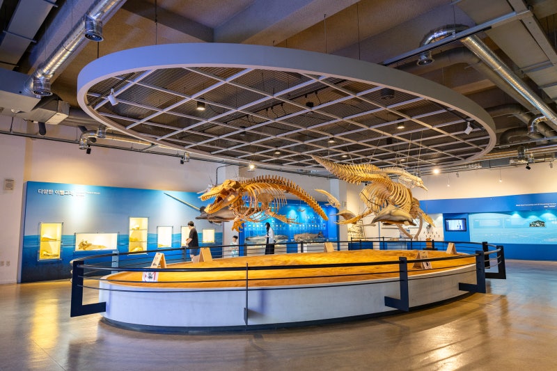 October Domestic Travel Recommendation: Ulsan Jangsaengpo Whale Museum, a Place to Visit with Kids