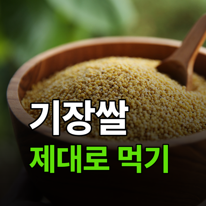 기장쌀효능 총정리, 동의보감은 왜 오래 먹지 말라고 했을까