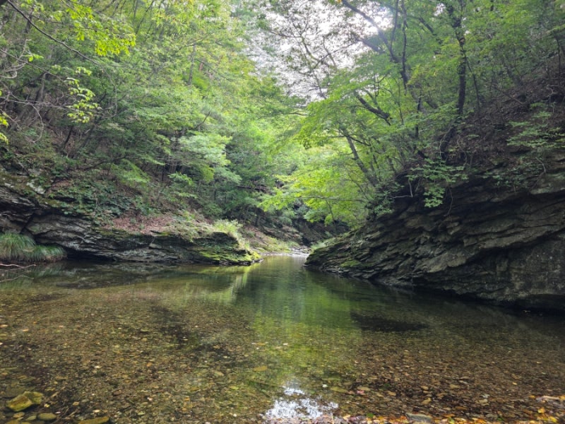 주왕산 절골/주산지