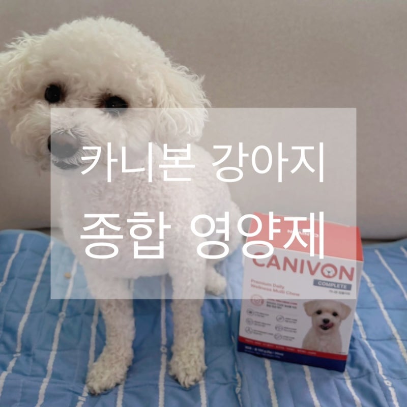 제품 리뷰 강아지종합영양제 추천 카니본 반려견 종합영양제