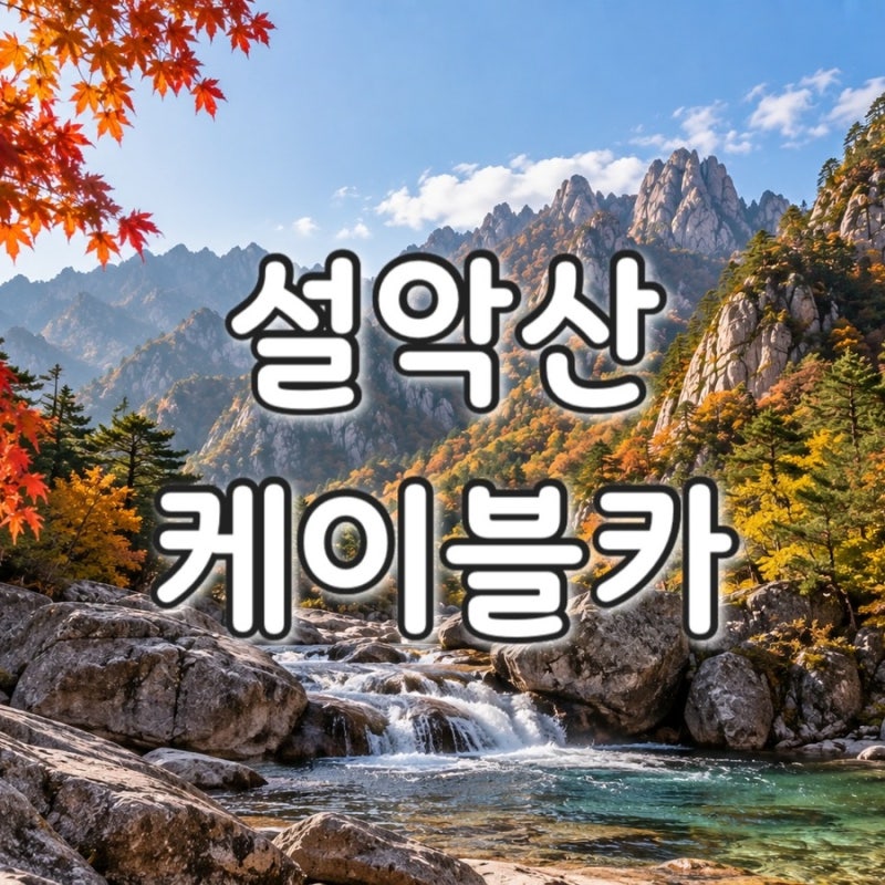2026 가을 설악산 케이블카 예약 요금 할인 가까운 주차장 실시간 CCTV 링크