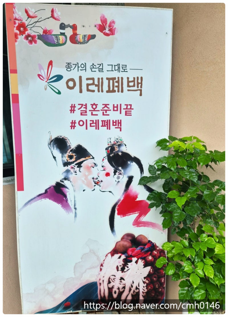 인삼의 모든 것 - 홍삼, 인삼정과까지 종류별 효능 총정리