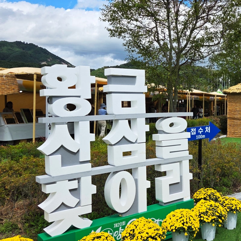 함양산삼축제 제21회 10월 7일 개막, 상림공원 일정과 체험 총정리