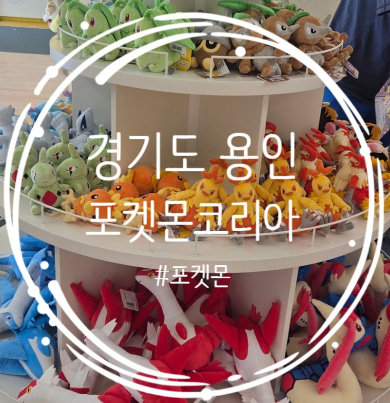용인 포켓몬코리아, 용인 포켓몬,용인 포켓몬 카드 ,용인 포켓몬스쿨
