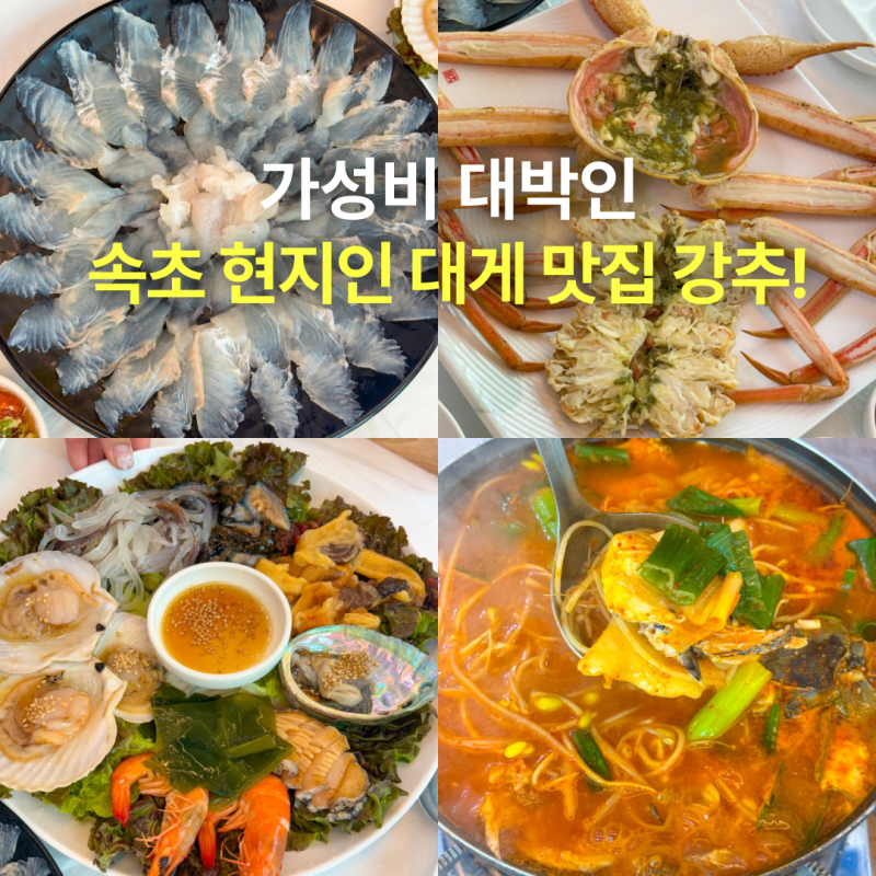 속초 횟집 추천, 가성비 대박인 라마다호텔 근처 대포항수산시장 대게 맛집 솔직후기