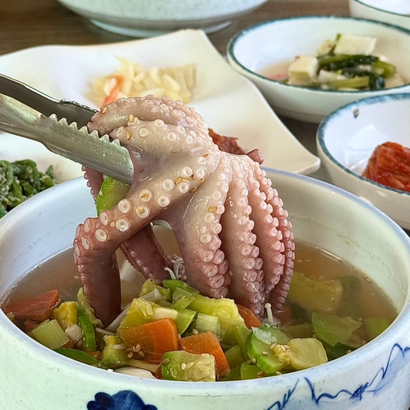 전남 화순 맛집 추천, 낙지촌 연포탕 솔직 후기(화순낙지 현지인 맛집)