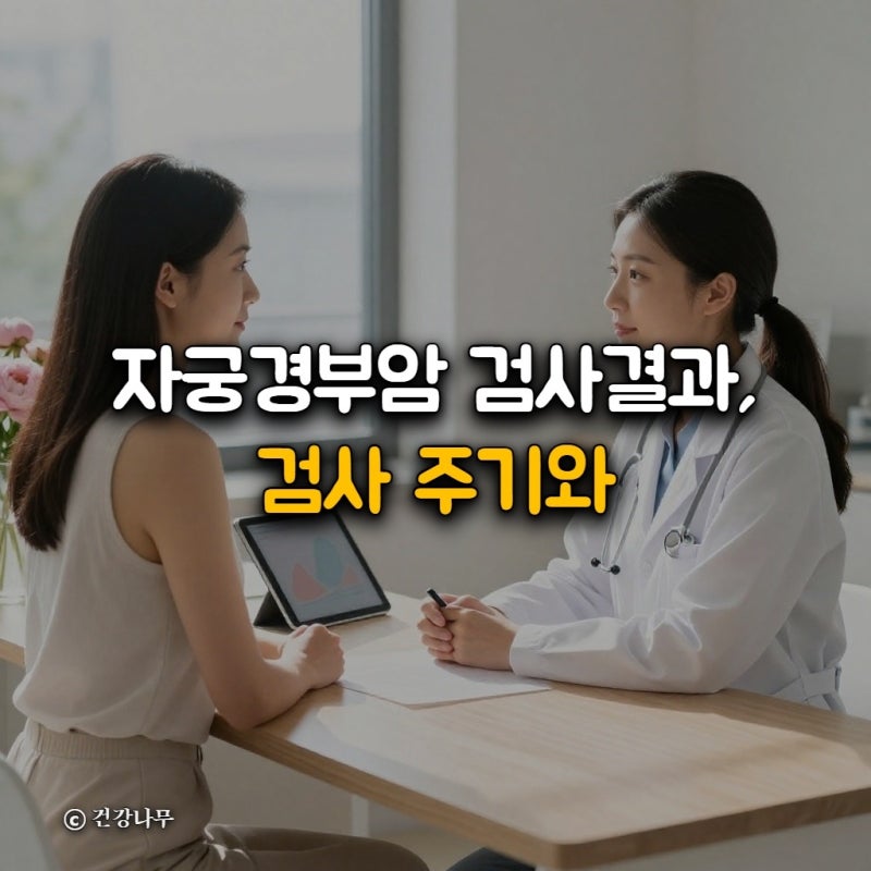 자궁경부암 검사결과, 검사 주기와 국가검진 대상 총정리