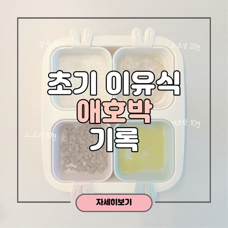 초기 이유식 애호박 큐브 | 토핑부터 죽까지 먹여본 기록