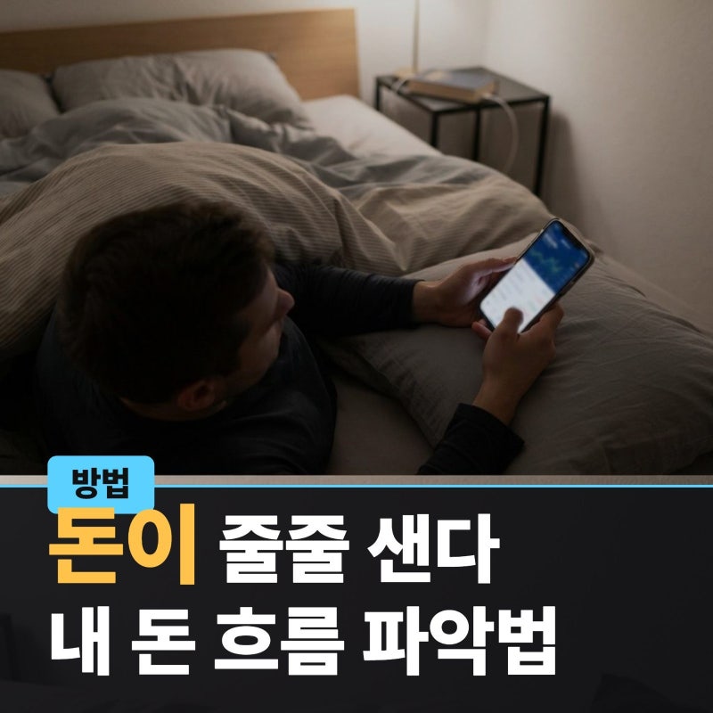 편한가계부 pc 연동으로 매달 소비습관 파악해보기