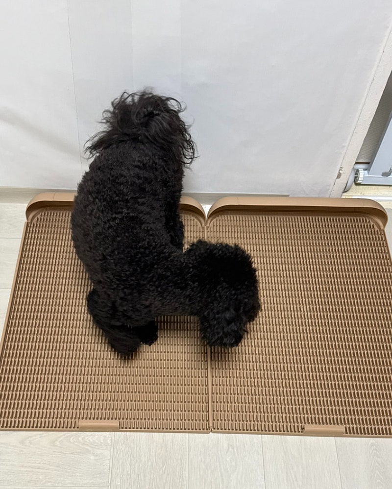 강아지배변판 패드없이 사용하는 독톡 연장형 배변판 L