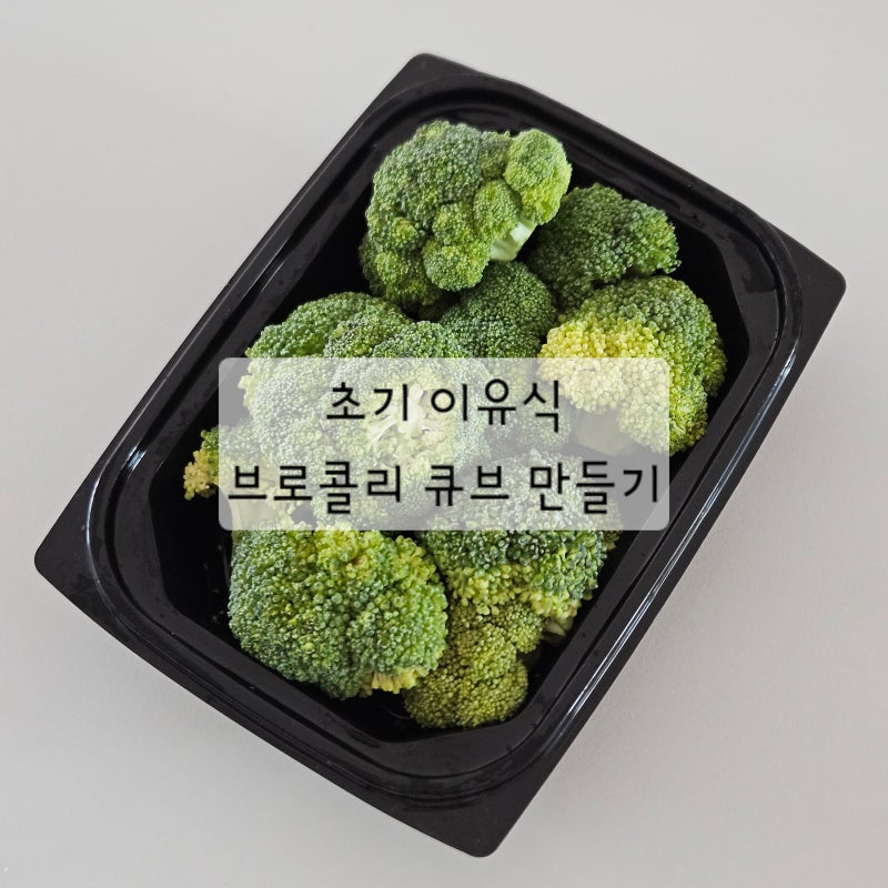 6개월 초기 이유식 : 브로콜리 큐브 만들기 (마켓컬리)