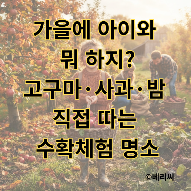 가을에 아이와 뭐 하지?｜고구마·사과·밤 직접 따는 수확체험 명소