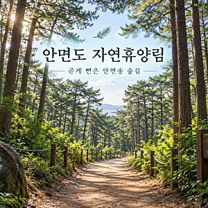 태안 안면도 자연휴양림, 안면송 숲길 걷고 수목원까지 이어가는 산책