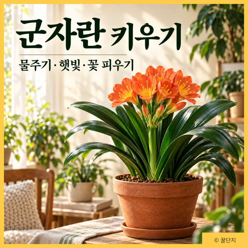 군자란 키우기 | 특징・물주기・햇빛・꽃 피우기・분갈이・번식