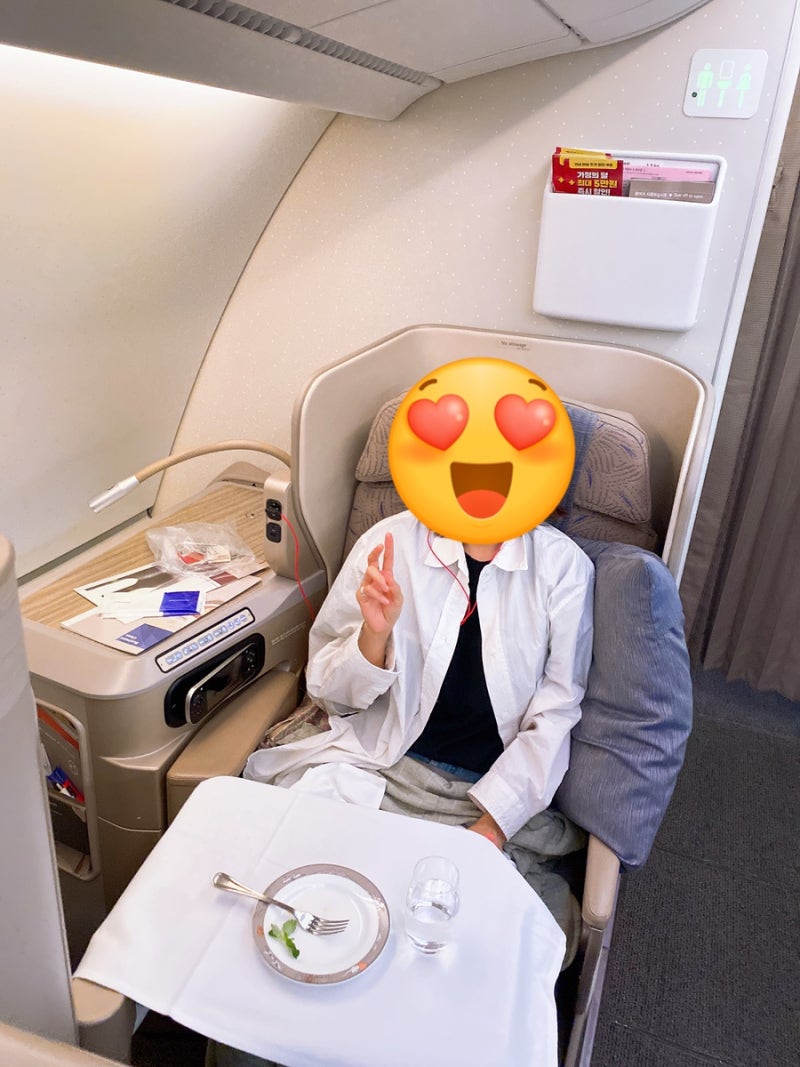 ✈️비즈니스석 타는 블로거의 대한항공 마일리지 카드 비교! (삼성·현대·신한·하나 혜택 ....