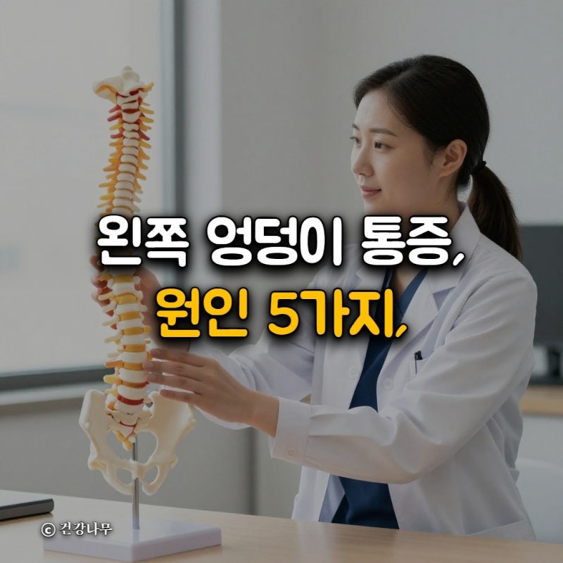왼쪽 엉덩이 통증, 원인 5가지, 빠른 완화법 대처 가이드