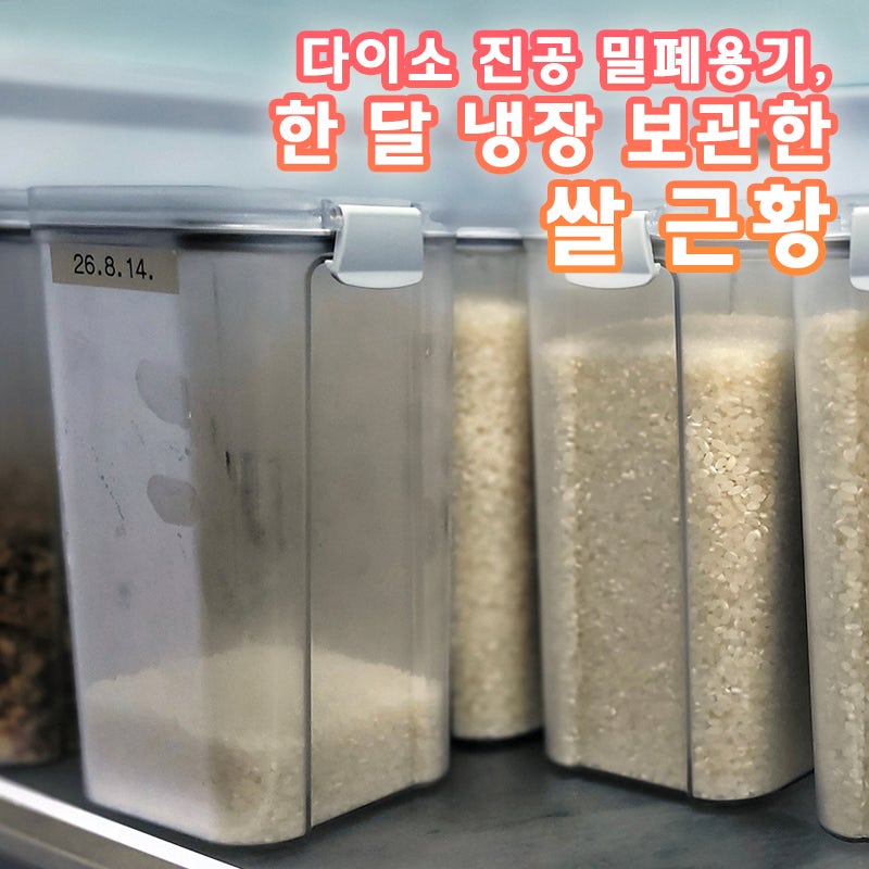 다이소 진공 밀폐 용기에 보관중인 쌀 근황