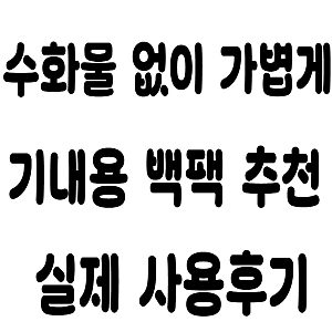 여행용 기내용 캐리어 노트북 학생 직장인 남자 경량 대용량 배낭 백팩 추천 내돈내산 사용 ....