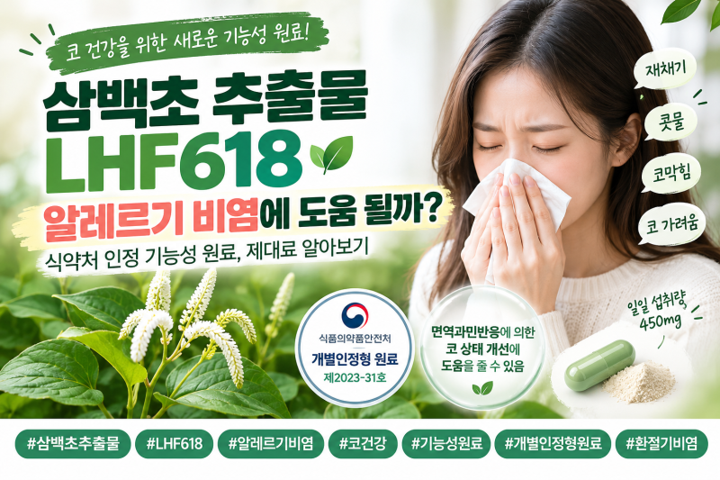 삼백초 추출물 LHF618 효능과 섭취량, 알레르기 비염 코 건강에 주목받는 이유