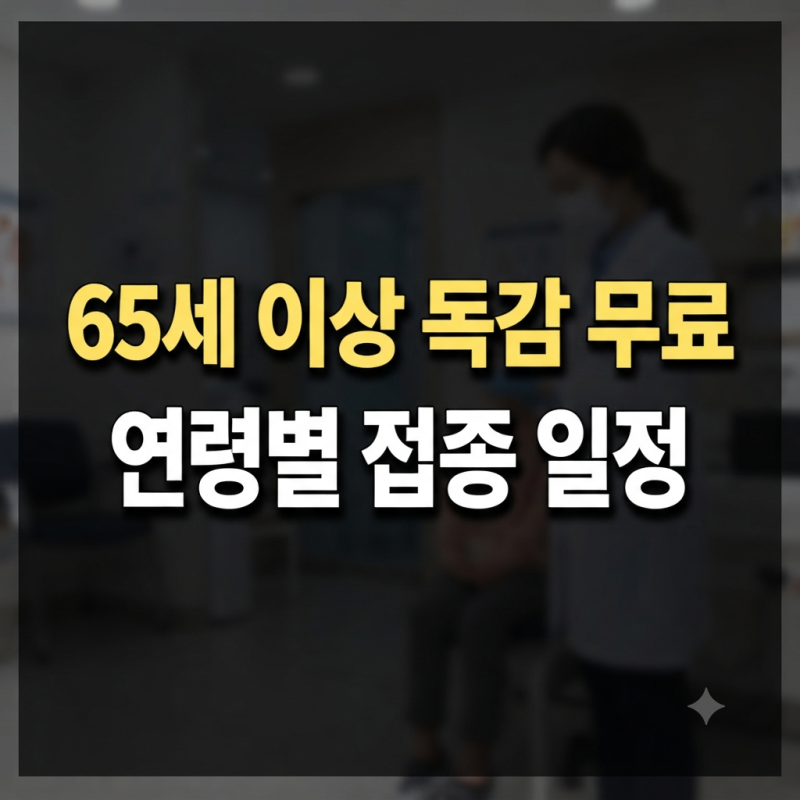 65세 이상 독감 무료 예방접종 일정 및 날짜 병원 보건소 정리