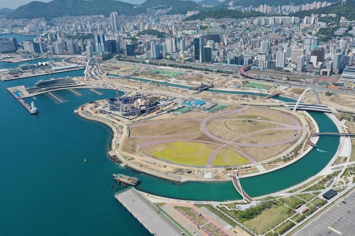 부산 상어 출몰 위치는 어디? 북항 친수공원 목격 상황과 안전수칙