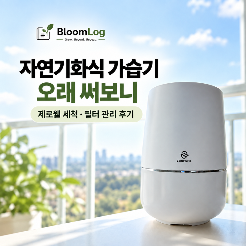 자연기화식 가습기 오래 써보니｜제로웰 세척·필터 관리 후기