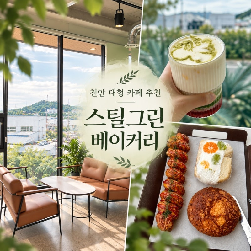 천안 대형 카페 추천 (커피,빵,뷰 3가지가 완벽한 곳) 스틸 그린 베이커리