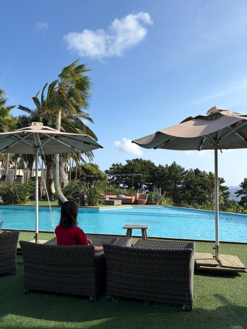 Tips for Booking the Cheapest Jeju Island Flights! (Honest Comparison: Skyscanner vs. MyRealTrip vs. Ttengcheori.com)
