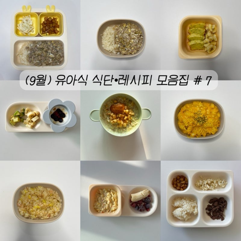 금주의 유아식 메뉴 : 9월 3주차 식단표&레시피 공유ㅣ16개월 유아식 아침•한그릇•반찬