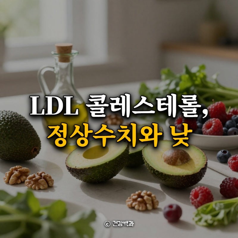 LDL 콜레스테롤, 정상수치와 낮추는 법 총정리