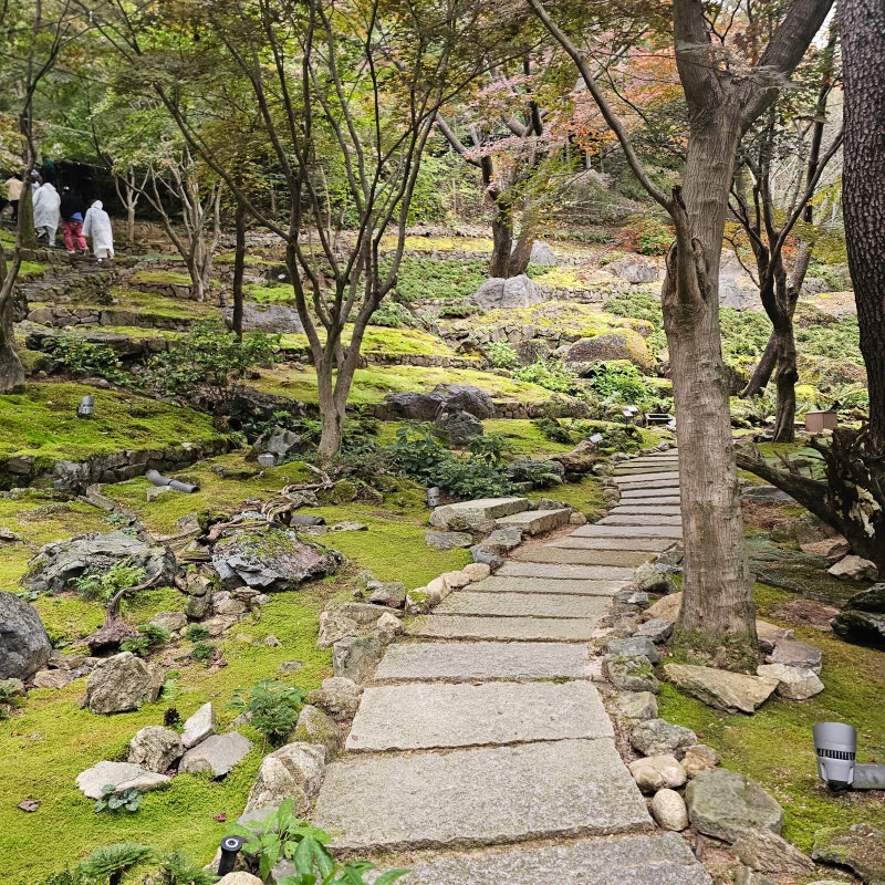 화담숲 모노레일 예약 못했다고 걱정마세요, 5살도 70대도 걸을 만했어요