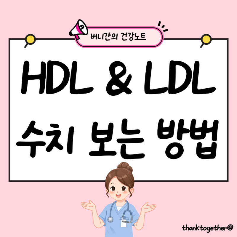 HDL·LDL 콜레스테롤 수치, 높게 나왔다면 어떻게 봐야 할까?